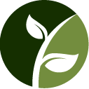 Rose Bush Removal Pros