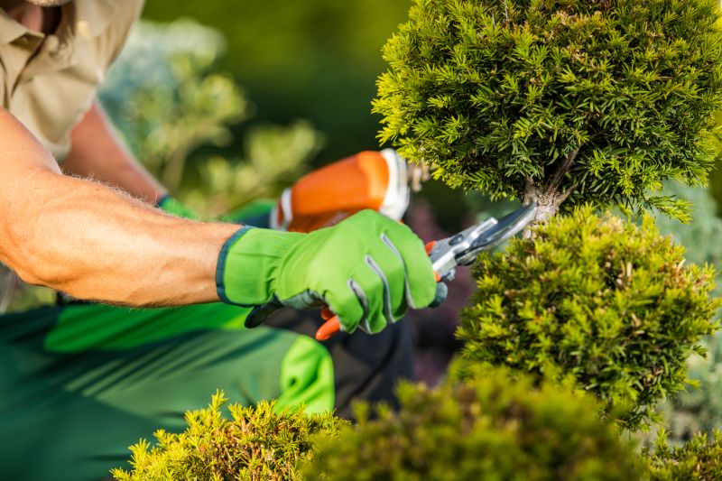 Bush Pruning in Aiken, SC