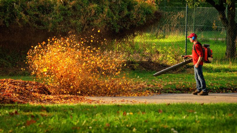 Fall Leaf Cleanup Equipment